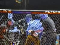 UFC Fight Night: Опредился победитель предварительного карда в наилегчайшем весе между бойцами из России и Казахстана (ФОТО)